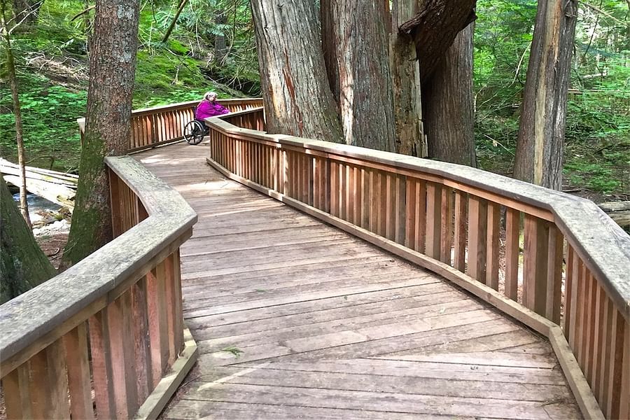 peaceful nature walk