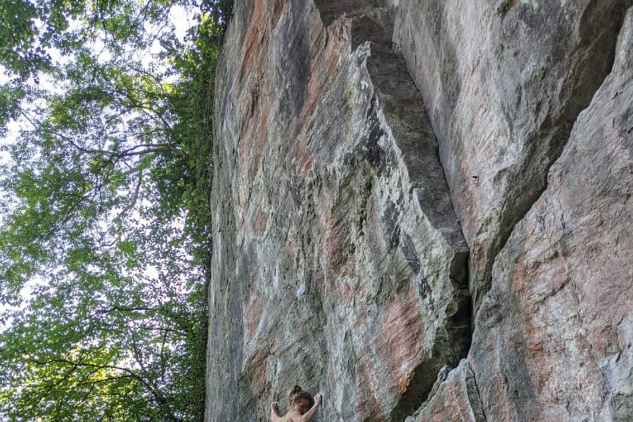 progesterone effect on endurance