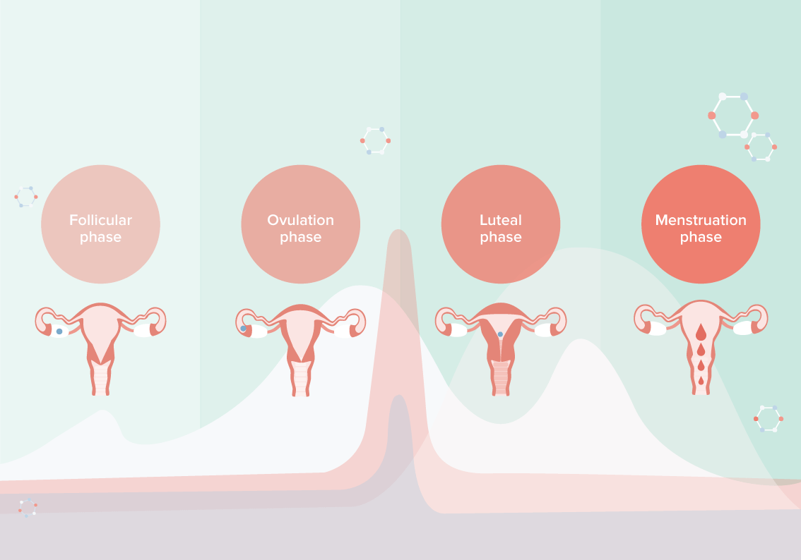 menstrual phase discharge