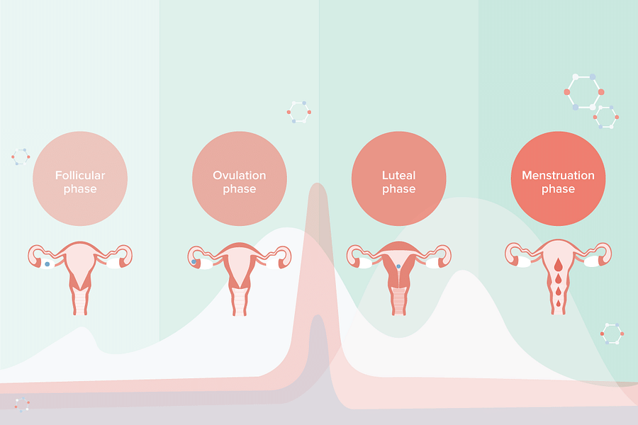 menstrual phase discharge