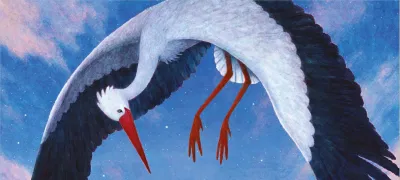 Period Myths and Facts