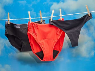 From Pink Panties to Hanes: A Comparative Review of Period Underwear Brands