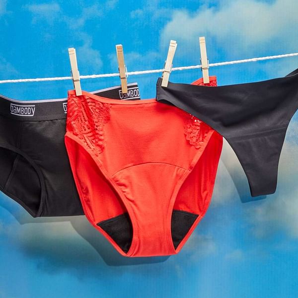 Hanes Comfort, Pack, Brief Period Underwear for Women, Moderate  Leak-Protection Panties, 3-Pack