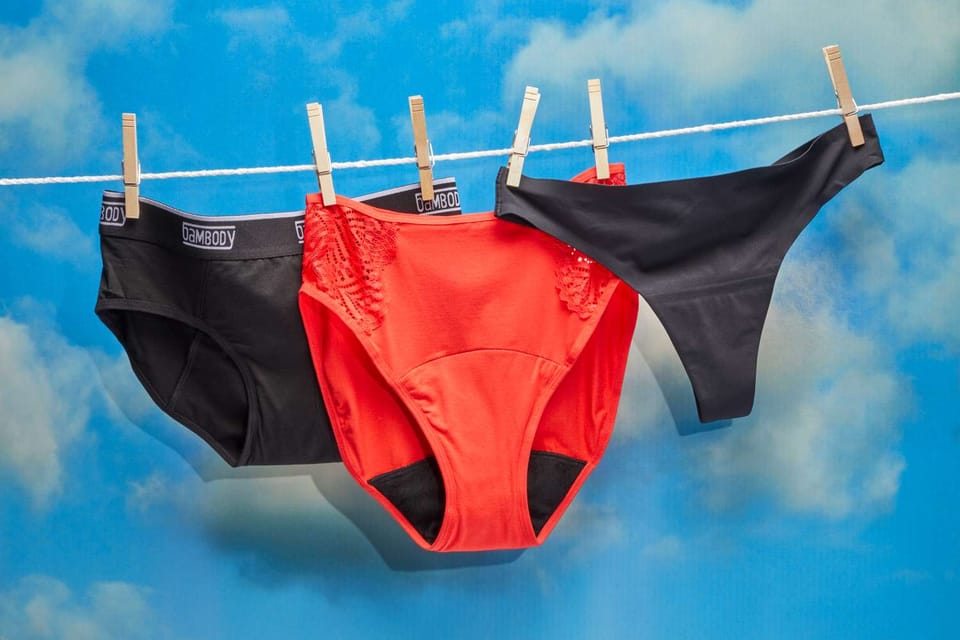 From Pink Panties to Hanes: A Comparative Review of Period Underwear Brands