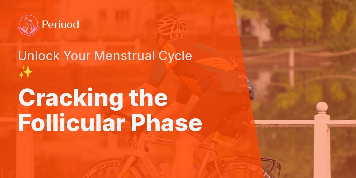 Understanding the Follicular Phase of Your Menstrual Cycle Periuod